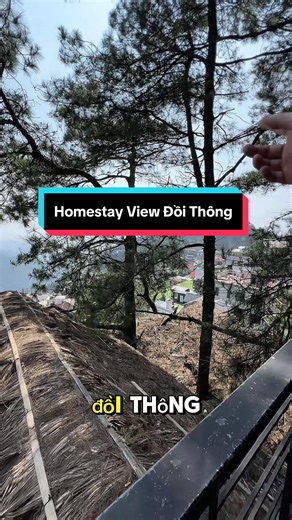 Tam Đảo: Trải Nghiệm Homestay View Đồi Thông