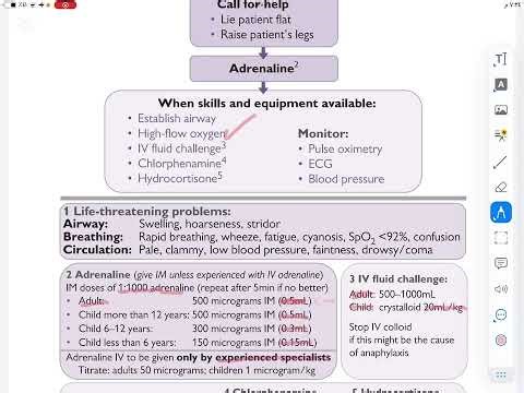 Treatment algorithm for adults with anaphylaxis 👏🏻