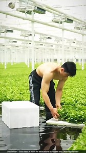 1.9M views · 30K reactions | The future is here.. agricultural technology #Technology | Asare Obed | Facebook