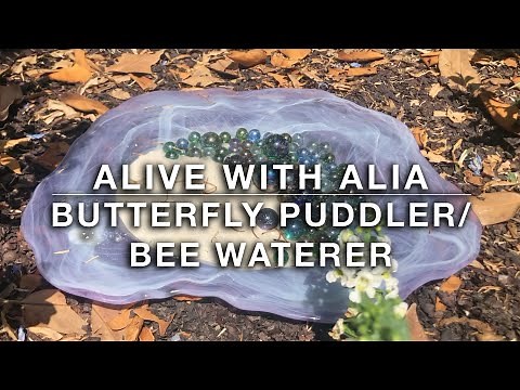 Butterfly Puddler & Bee Waterer