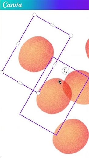 Proof that you can Canva anything