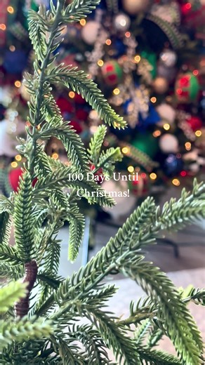 Only 100 days until Christmas! The exterior of my home will be fall but inside…..it’s ALL ABOUT CHRISTMAS!! 🎄 #christmas #holidaydecor #diy #fypシ #christmasdecor