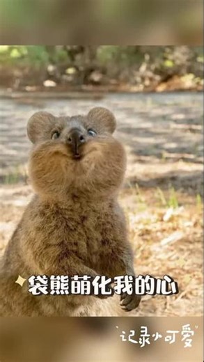 微笑，是自信者的表现；微笑，是快乐者的标志；微笑，是成功者的信用；微笑，是失败者的航标；微笑，是戴罪者的重生；微笑，是无业者的本钱。 今天，5月8日是世界微笑日。生活总有琐碎与迷茫，不必事事纠结，给自己一个微笑，放宽心态，嘴角上扬；微笑是最好的治愈，不抱怨、不焦虑，善待自己，温柔待人；愿往后每一天，眼里有光，心中有爱，面带微笑，一路向阳。