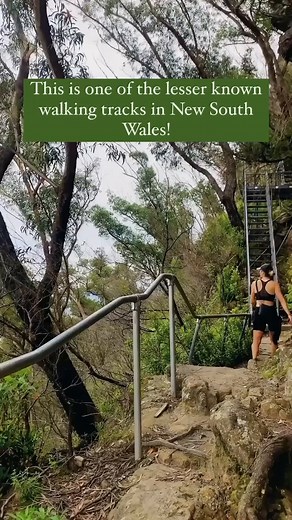 Today we’re exploring what might be one of our favourite NSW hikes yet!📍Pigeon House Mountain Didthul walking track near Ulladulla in Morton National Park. Be prepared for a couple of steep sections, but with views like this, we think it’s definitely worth it. Please plan ahead and check the NSW National Parks and Wildlife Service website for the latest park details and alerts. #NSWParks Thanks for sharing your #feelNSW moments IG/themattandgracespace | Visit NSW