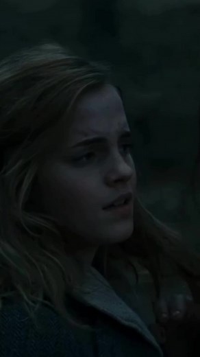 Hermione Granger and Scabior Relationship Analysis