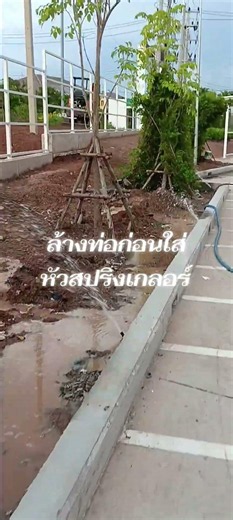 11 มิถุนายน ค.ศ. 2026