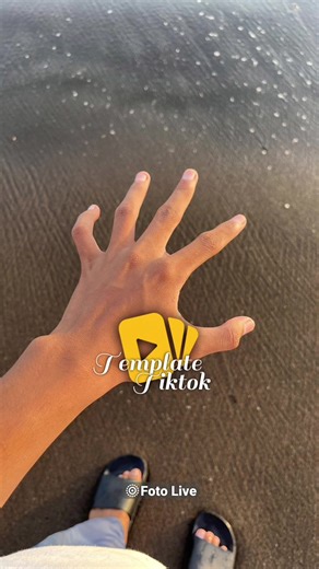 Create Stunning Live Photos with TikTok Templates
