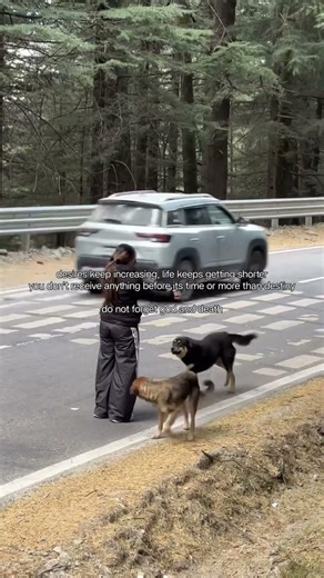 if love had a soundtrack, this would be it! #trending #viralshorts #explorepage #vlog #mountains