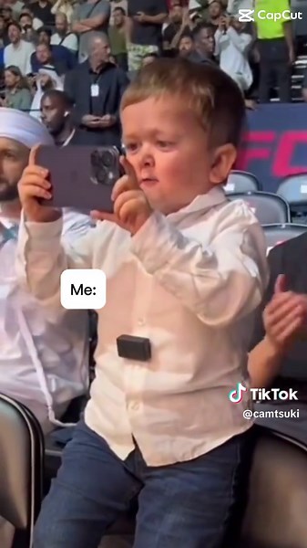 Adorable Shiba Inu Puppy Moments