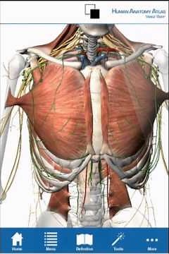 Human Anatomy Atlas - Android tablet/phone tutorial