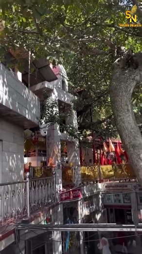 Jai Babe di Bolo || LATEST BABA BALAK NATH BHAJANS || SIDH NATH BHAJANS