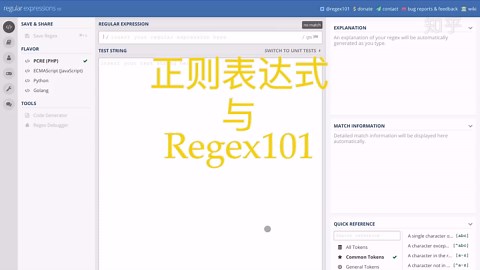 使用 regex 101 来测试编写正则表达式