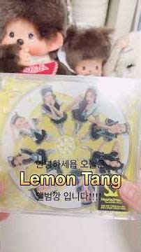 하투하 레몬탱 LemonTang 앨범깡!! ( 악플 금지 ) #하투하 #Lemontang