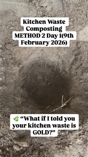 Here’s the easiest backyard composting method anyone can start #kitchenwastecompost #composting