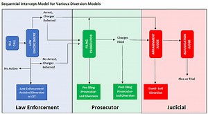 Planning a Behavioral Health PLD Program