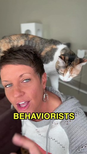 Understanding Your Cat: Tips from a Cat Therapist