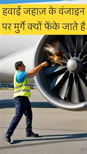 Why are chickens thrown into the engine? #airplane #aeroplane #aviation #ytshorts #engine #facts ...