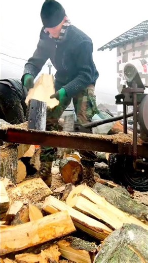 Log Splitter #logsplitter #firewood