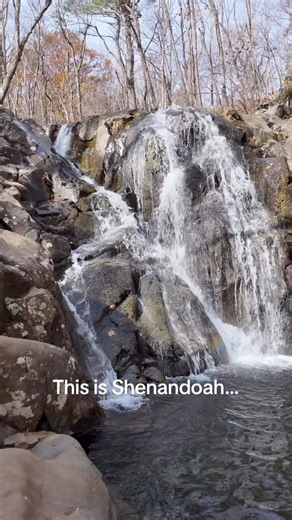 Shenandoah National Park #travel #hiking #nature #nationalpark #shenandoah #waterfall | Amory Hermetz