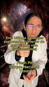 Flesh Pit, National Park in Texas, Visítanos ya 👌🏼 (Proyecto de internet creado por personas del mundo visita su página en Google como: Flesh Pit National Park) | Alien Taco