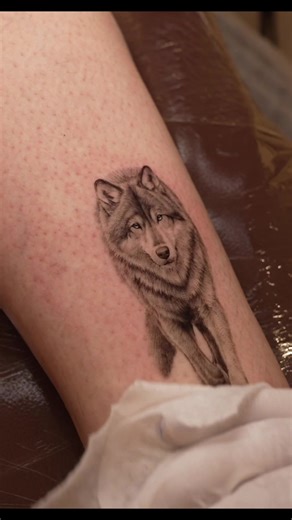 Wolf Tattoo Designs in Seoul, Korea