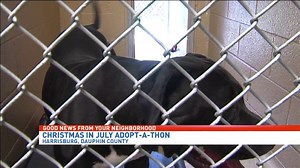 Humane Society hosts Christmas in July Adopt-A-Thon