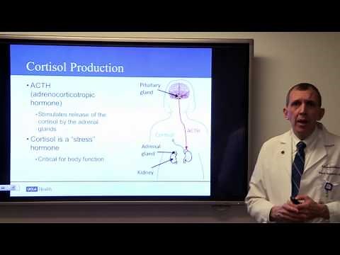 Latest Treatment Options for Pituitary Tumors, Marvin Bergsneider, MD | UCLAMDChat