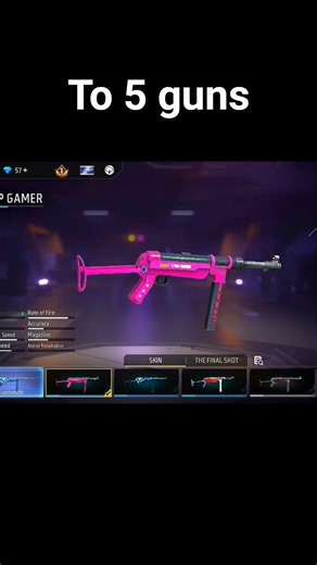 Top 5 beautiful guns