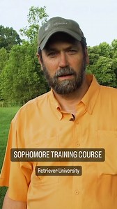 1.5K views | Looking for a resource to help you start training your young retriever? Retriever University’s Sophomore Program gives you the Step-by-Step instructions on creating the fundamental skills for your retriever. LINK IN BIO #retrievertraining #retrieverpuppy | Sporting Life Kennels | Facebook