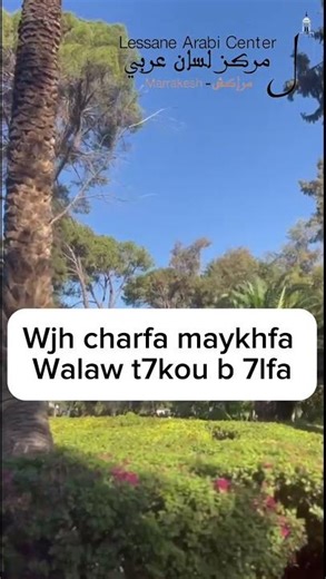 Moroccan Darija idioms with English translation