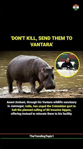 Anant Ambani offers to save 80 hippos from being killed by Columbian govt.
