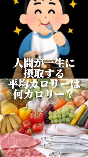 人間が一生に摂取ふる平均カロリーは何カロリー？