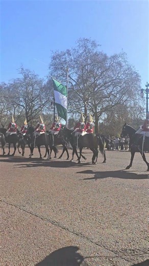 The kings lifeguards