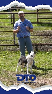 35K views · 492 reactions | Teaching a dog to control its emotions is...