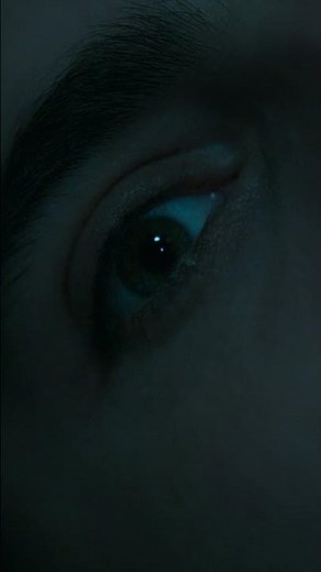 Wonka | Watch Full Trailer Now!