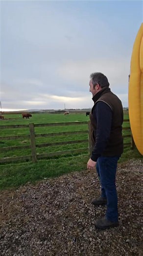 6.6K views · 51 reactions | Do we have the biggest pumpkin? Join Farmer Matt and Farmer Maddie, they are setting things up for a busy day at The Pumpkin Picking Adventure  | Windmill Animal farm | Facebook