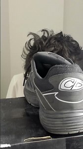 STEAL A BRAINROT GIVEAWAY LIVE | STEAL A BRAINROT FREE SECRETS + FREE BRAINROT GODS