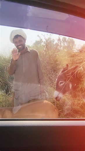 Devil Hunters Chaudhary Petlover CBS Chakwal - Short Clip