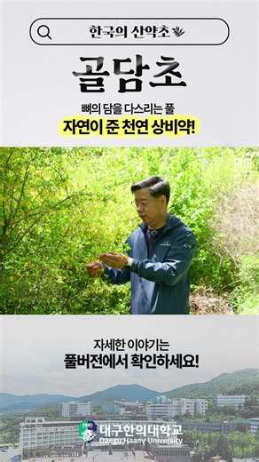 [한국의 산약초] Ep.08 자연이 준 천연 상비약! | 평생교육원 박노식 교수 #대구한의대학교 #dhu #대구한의대