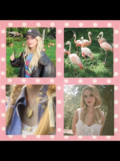 50th Hunger Games Tribute Highlights