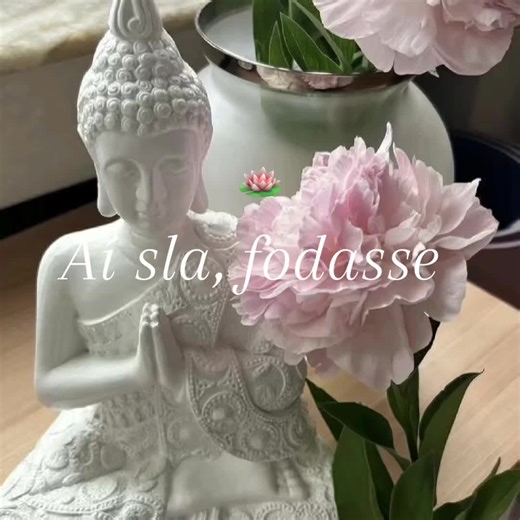 Tutorial de Meditação no Budismo