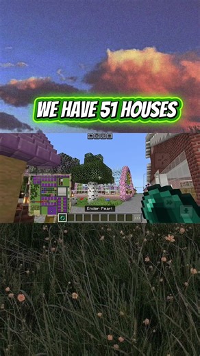 Day 28 citizens 301/1000 #minecraft #daily #woodberrycity