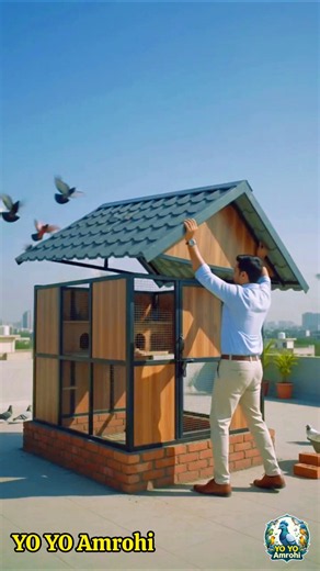 Building a Luxury Gable Roof Rooftop Pigeon Loft #PigeonHouse #PigeonLoft #KabutarGhar #Kabutarbaazi