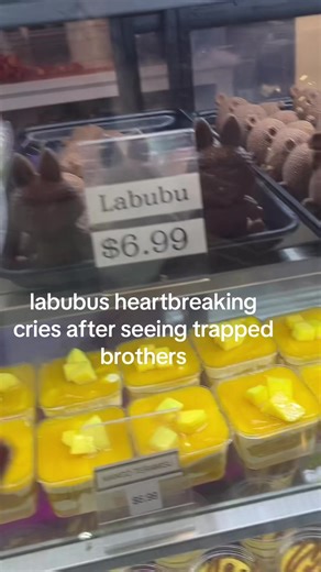 Labubu's Heartfelt Cries for Trapped Brothers