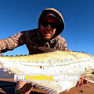 HUNTING FOR GIANT MUD CRABS- NEW FDYS MERCH NOW FOR SALE💥 HTTPS://WWW.FIELDDAYSSHOP.COM | Field Days