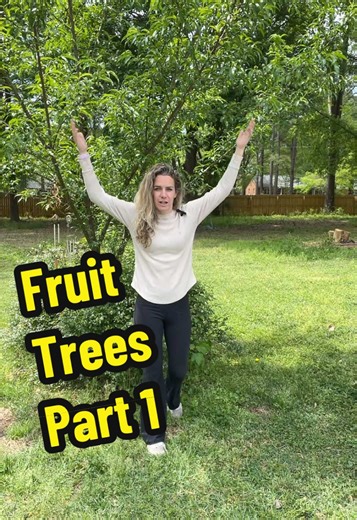 TikTok - Make Your Day