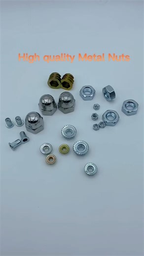 M10 316 Stainless Steel Nylock Nyloc Nut Insert Hexagonal Lock Hank Bush Nuts Silver Tone Molybdenum Hex Self-clinching Nut