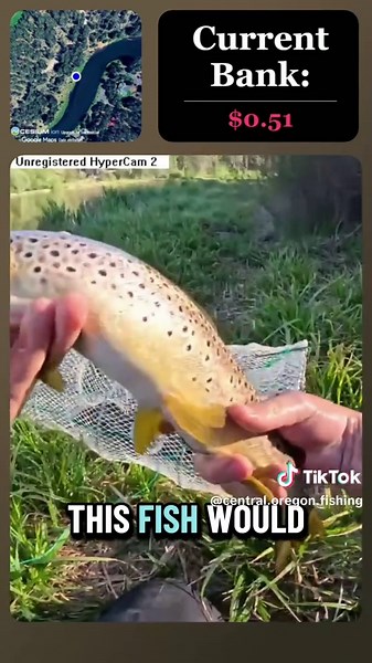 Day 3 of surviving ONLY on the fish I catch 🎣 Started with $0. No breakfast. No coffee. No lunch. Now we’re finally able to buy food, but how long can I keep this going? Would you keep going? 👀 #Fishing #FishingChallenge #SurvivalChallenge #CatchAndCook #OutdoorLife