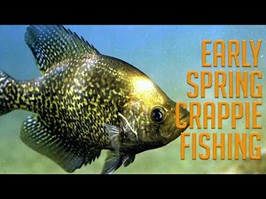 3 Early Spring Crappie Fishing Tips