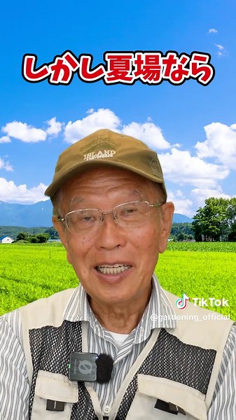 夏野菜の水やりで間違いやすいポイントと対策